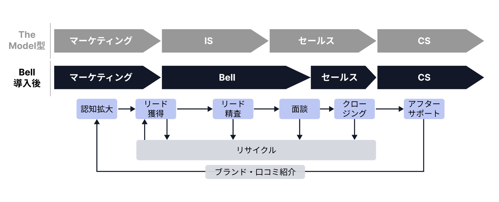 the model型組織の画像